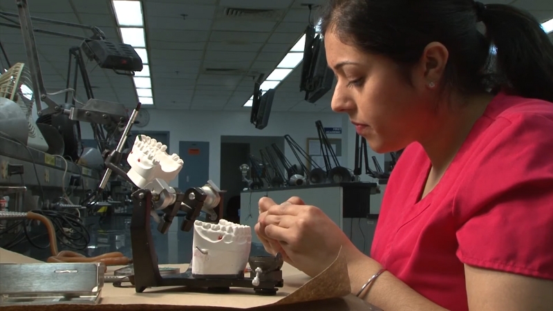 A Dental Student Works on A Dental Model at The University at Buffalo School of Dental Medicine